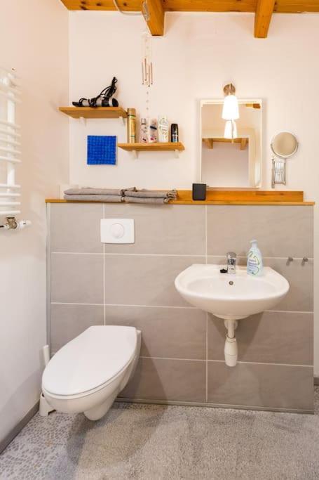 Apartment Wilhelmstr Fuer Bis Zu 3 Personen Brühl Екстериор снимка